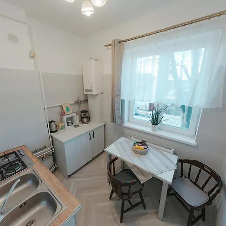Apartment Apartamentul Cu Tei *