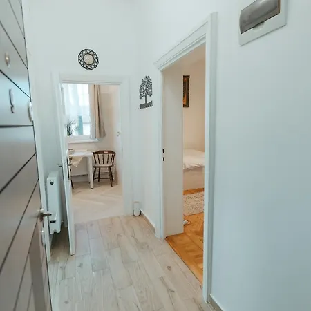 Apartment Apartamentul Cu Tei