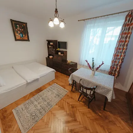 Apartamentul Cu Tei Apartment *